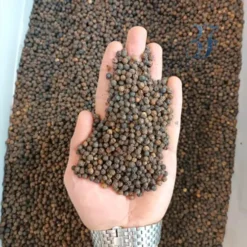 Alternative view of فلفل سیاه ریز