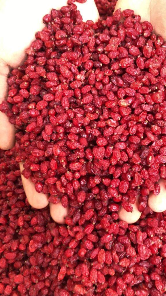 زرشک پفکی لوکس 6 زرشک پفکی لوکس اعلا بدون روغن و سرت دستگاه پک کیلویی2