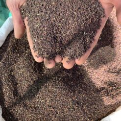 Alternative view of اسپند تمیز