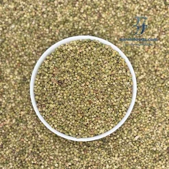 Alternative view of گل اورگانو بولد