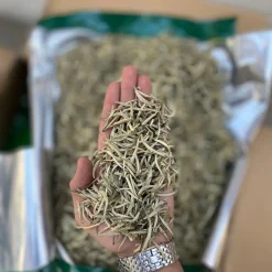 چای سفید سوزنی