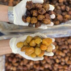 آلو طرقبه بازرگانی براتی