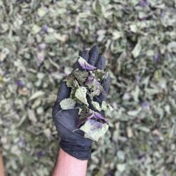 Alternative view of چای بادرنجبویه (چای ملیس)