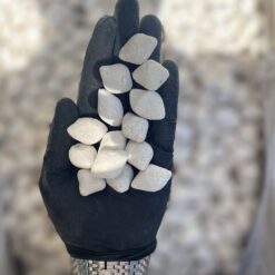 کشک گوسفندی خالص بدون ارد و نشاسته