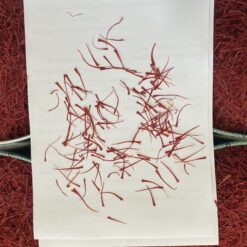 سوپر نگین صادراتی