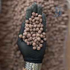 نخود شکلاتی