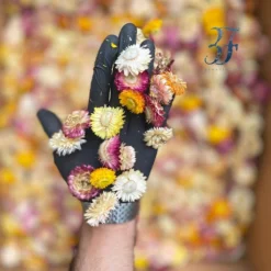 Alternative view of گل مینا لوکس