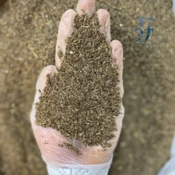 Alternative view of زیره سیاه کوهی