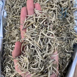 Alternative view of چایی سفید سوزنی