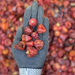 فلفل قرمز عنابی تند