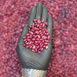 Alternative view of لوبیا قرمز