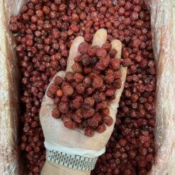 Alternative view of آلبالو قرمز