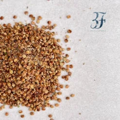 دان سماق قهوه ای بازرگانی براتی