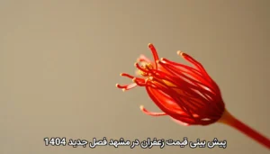 پیش بینی قیمت زعفران در مشهد فصل جدید 1404