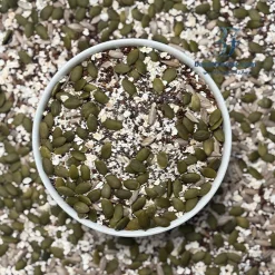 Alternative view of گرانولا مغزیجات