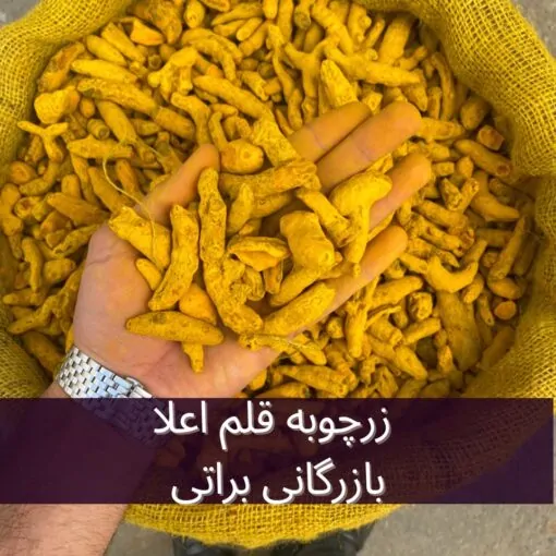 زردچوبه قلم هندی ممتاز 3 زردچوبه قلم هندی