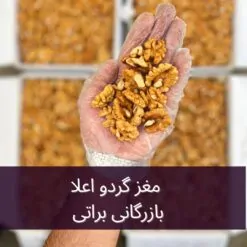 Alternative view of مغز گردو