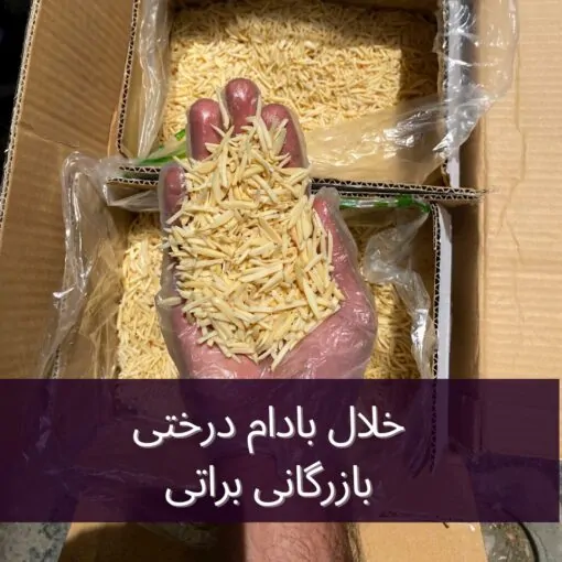 خلال بادام درختی 2 خلال بادام درختی - تصویر 2