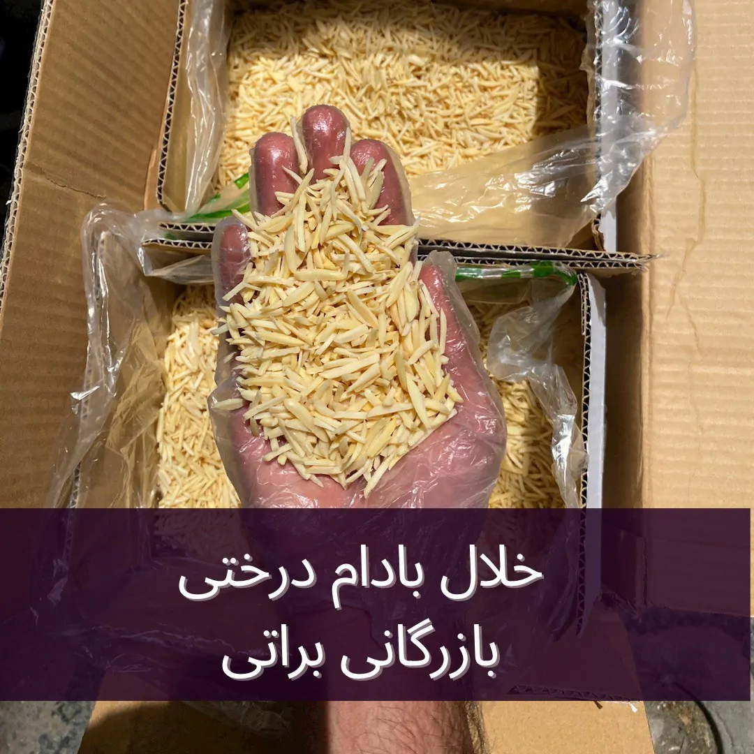 خلال بادام درختی - تصویر 2