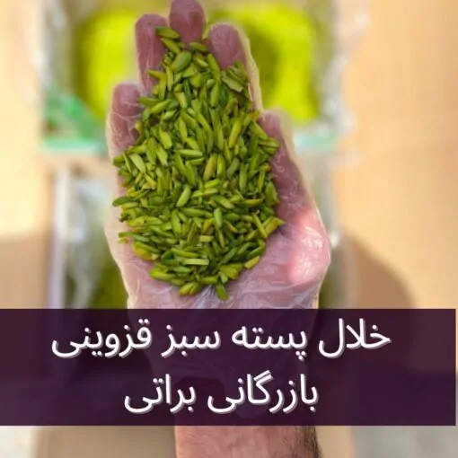 خلال پسته سبز 2 خلال پسته سبز - تصویر 2