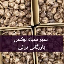 Alternative view of سیر سیاه