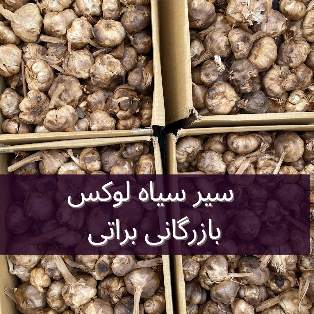 سیر سیاه - تصویر 2