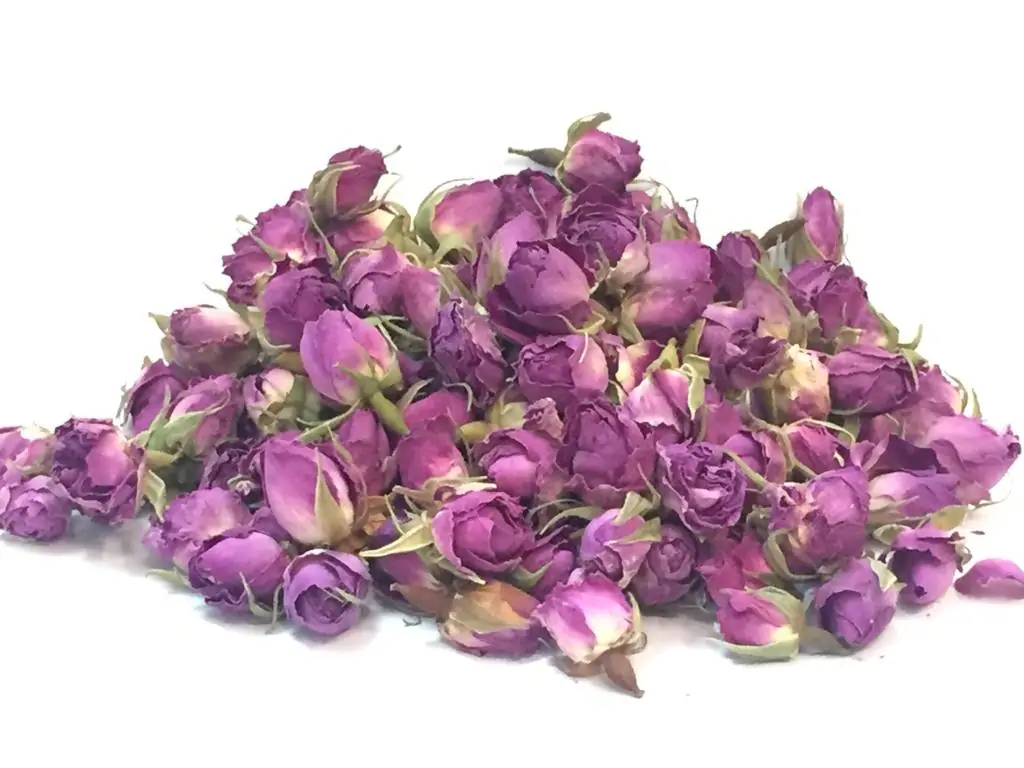 غنچه گل محمدی لوکس لاله زار