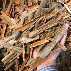 چوب دارچین گل سرخی بازرگانی براتی