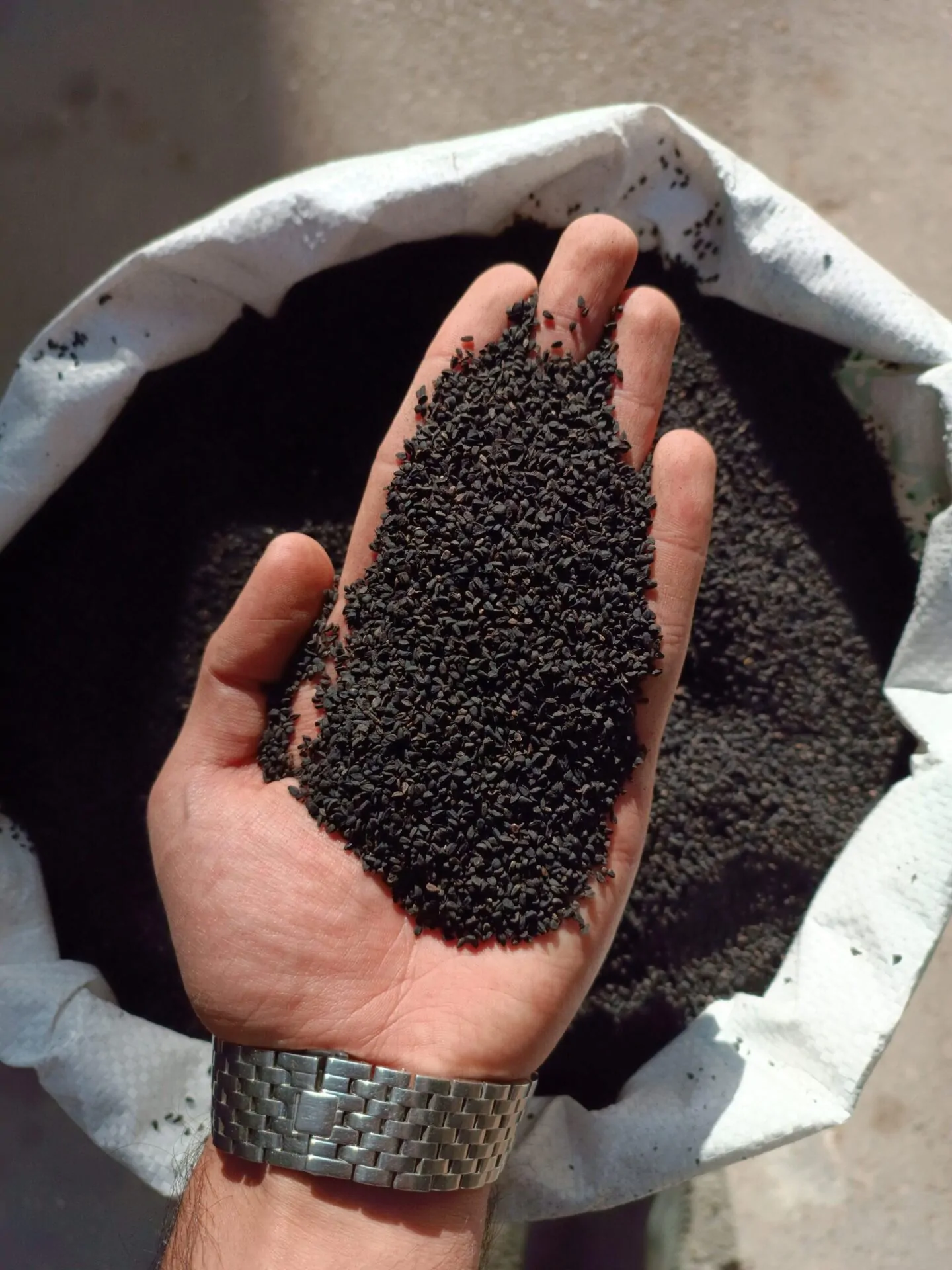 سیاه دانه هندی - تصویر 2