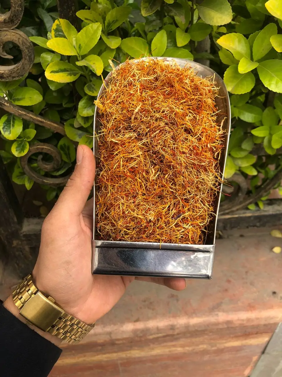 ریشه زعفران بالا پک 250 گرم