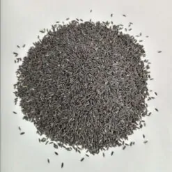 تخمه شربتی درشت(بالنگو) سرت شده و بدون سنگ ریزه