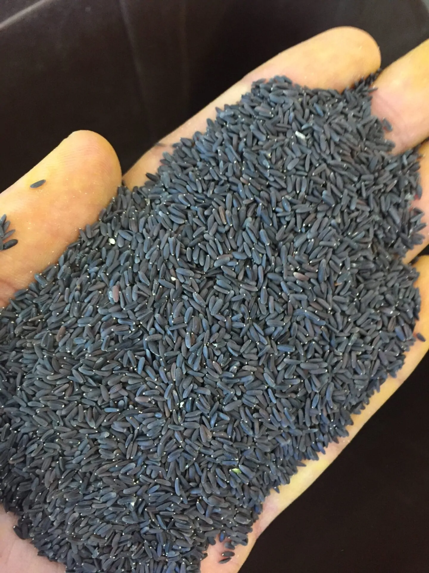 تخمه شربتی درشت(بالنگو) سرت شده و بدون سنگ ریزه4