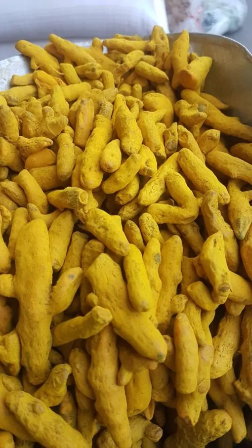 زردچوبه قلم چارمنار 2 زرچوبه قلم چارمنار (زرچوبه لوکس قلم)