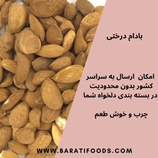 مغز بادام درختی خارجی درشت 2 بادام (1)