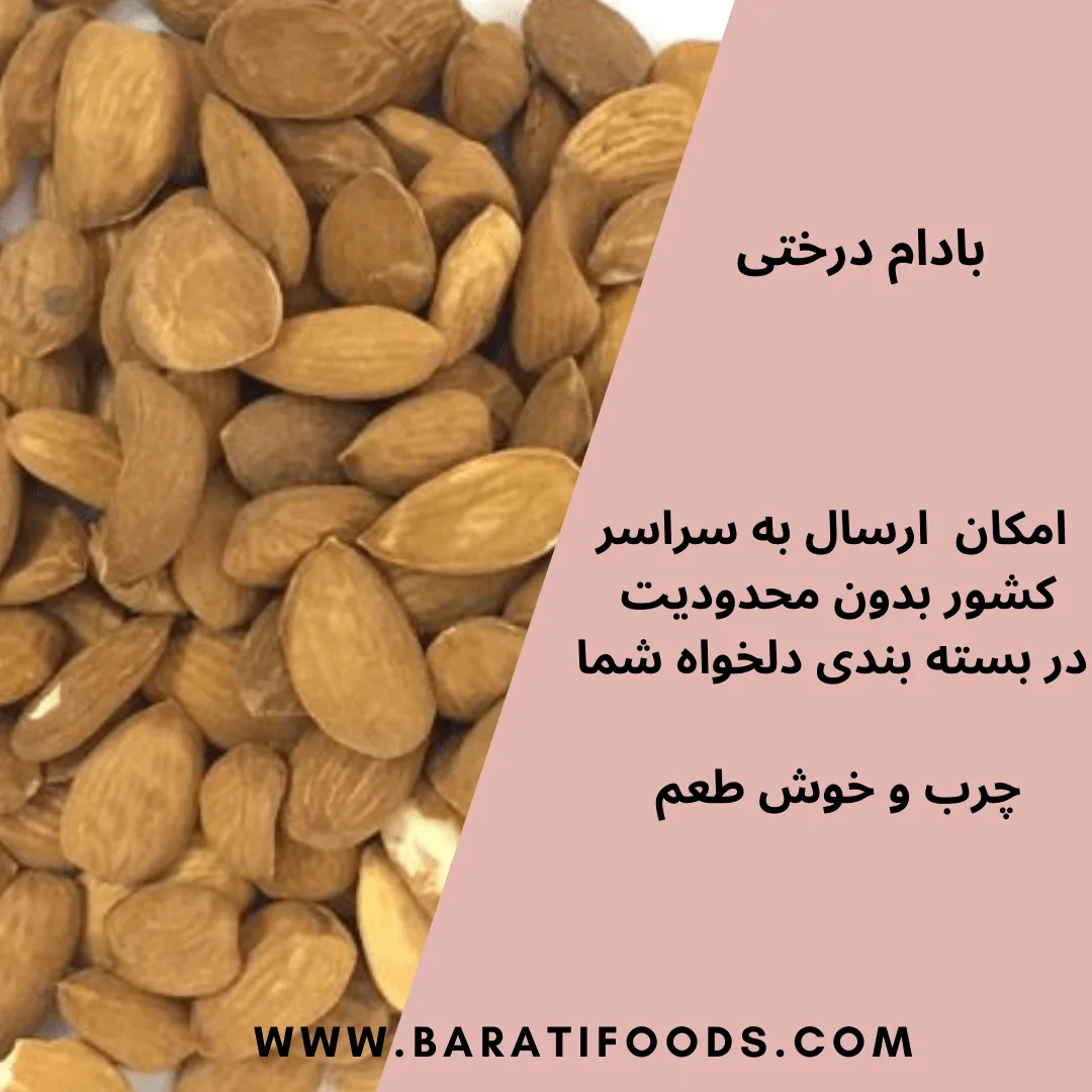 بادام (1)