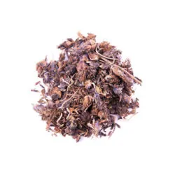 اوسطوخودوس لوکس خارجی یک کیلویی