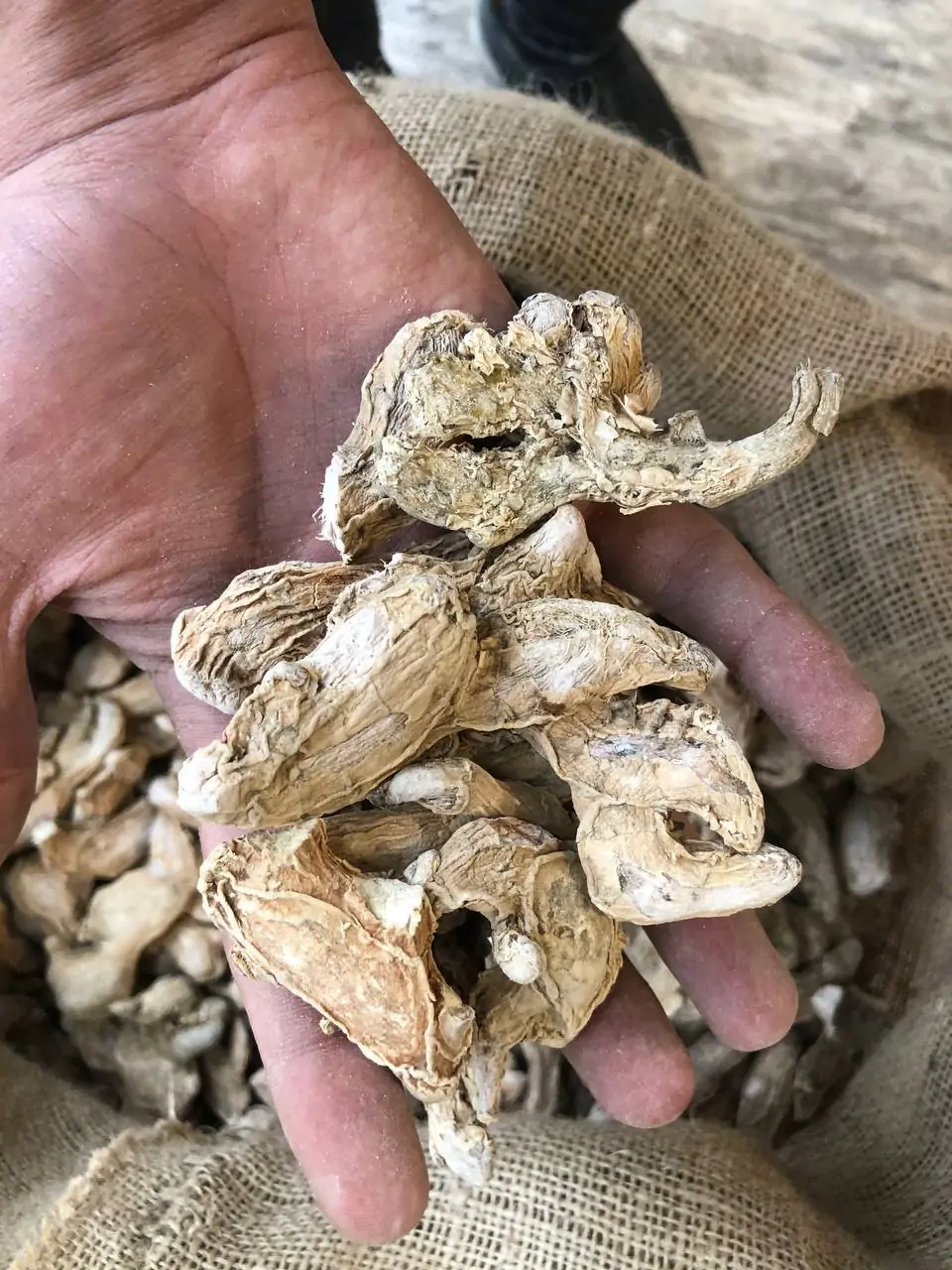 زنجبیل قلم نسابیده درشت یک کیلویی