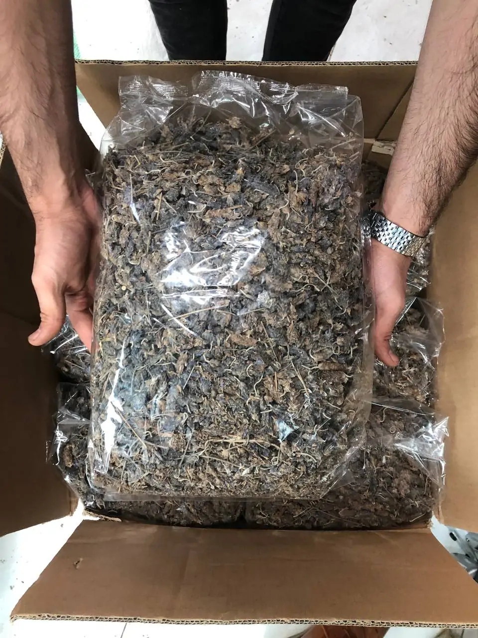 اوسطوخودوس لوکس خارجی یک کیلویی