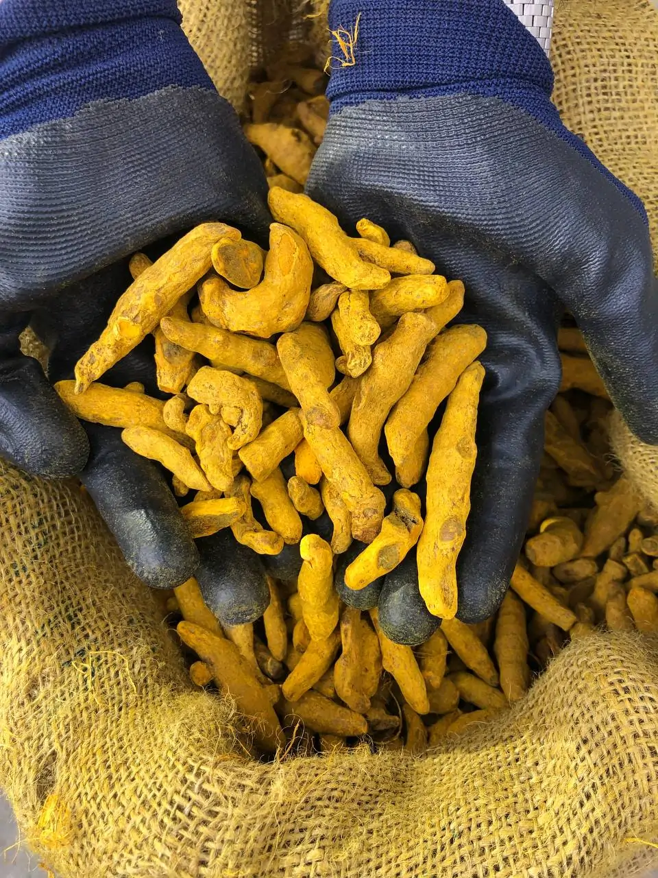 زنجبیل قلم نسابیده درشت یک کیلویی2