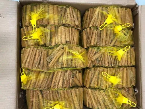 دارچین سیگاری ویتنامی یک کیلویی 5 چوب دارچین توبک بازرگانی براتی