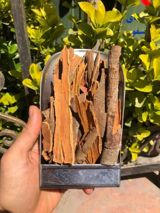 چوب دارچین قلم گل سرخی یک کیلویی 5 چوب دارچین قلم گل سرخی یک کیلویی - تصویر 5