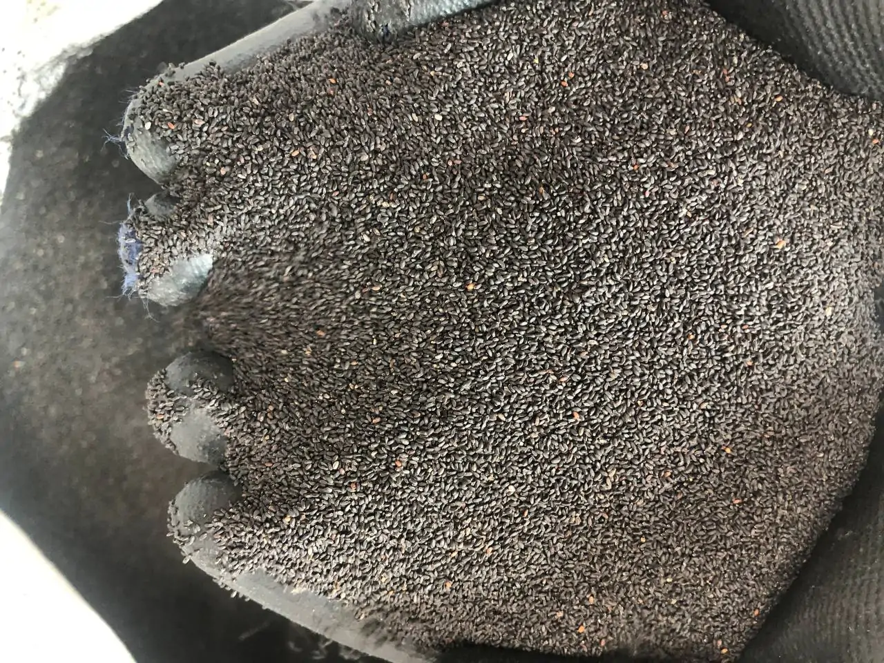 تخمه شربتی ریز هندی - تصویر 3