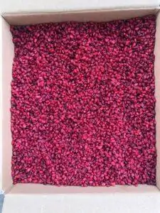 photo5935917194649122762