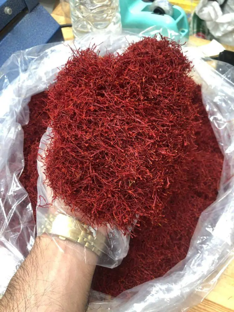 زعفران نگین