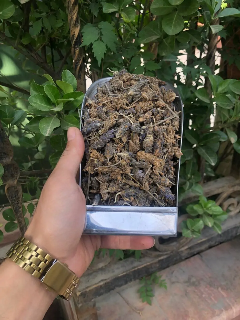 اوسطوخودوس لوکس خارجی یک کیلویی2