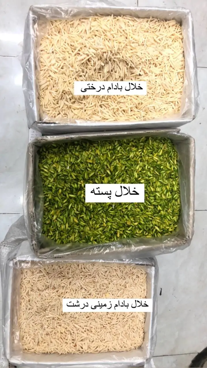 خلال بادام زمینی یک کیلویی 2