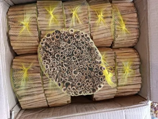 دارچین سیگاری ویتنامی یک کیلویی 3 دارچین سیگاری ویتنامی یک کیلویی - تصویر 3