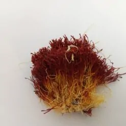 زعفران دسته صد گرمی