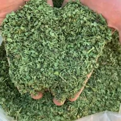 سبزی گیشنیز تمیز اعلا پک یک کیلویی