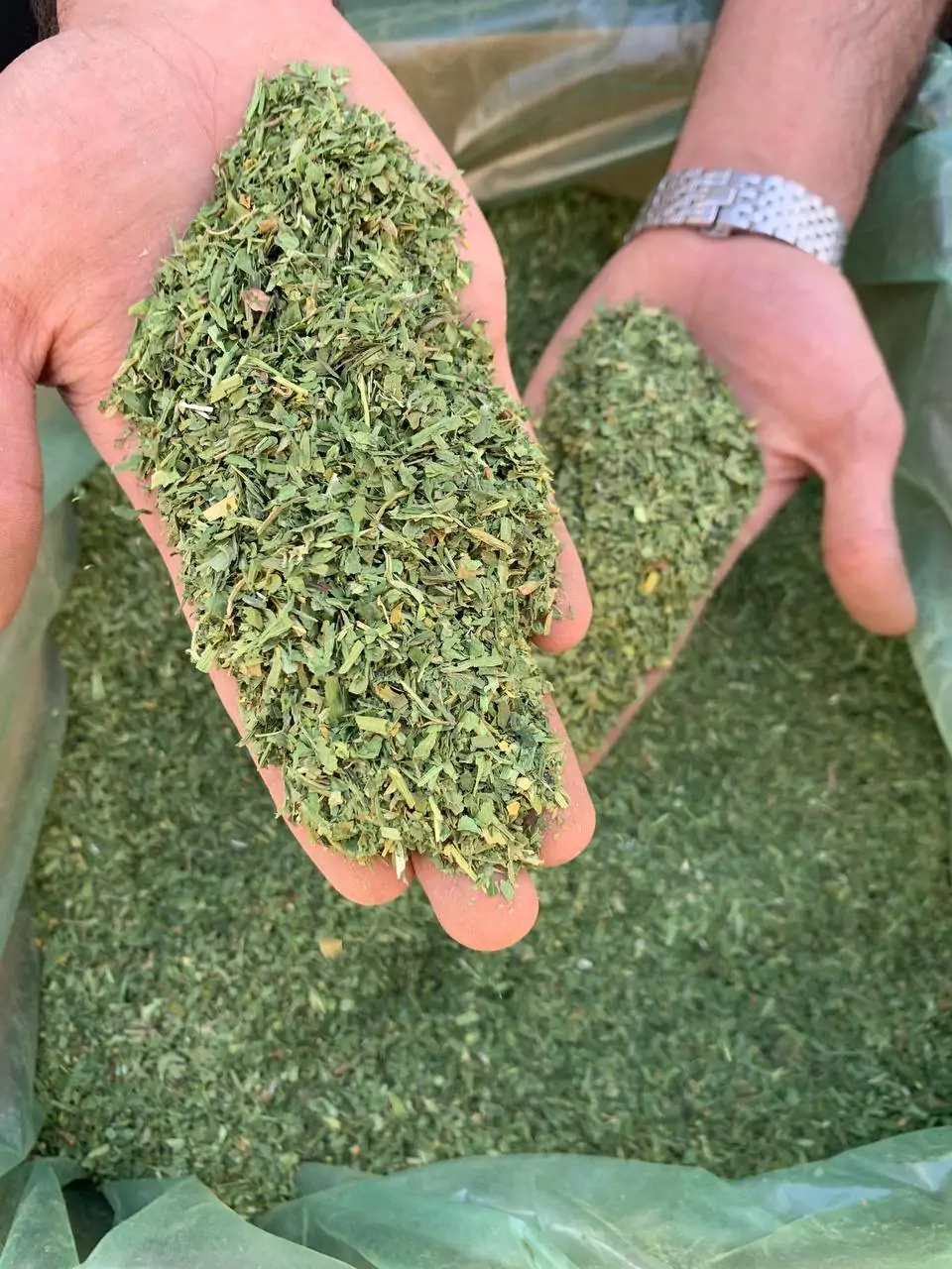 سبزی قرمه سبزی شسته شده تمیز پک یک کیلویی